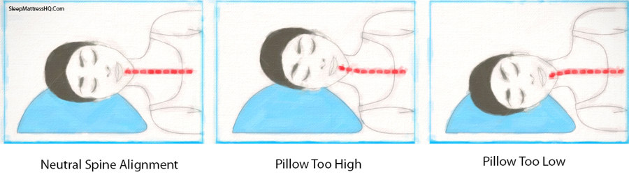 Spine Alignment - PIllow too high, pillow too low