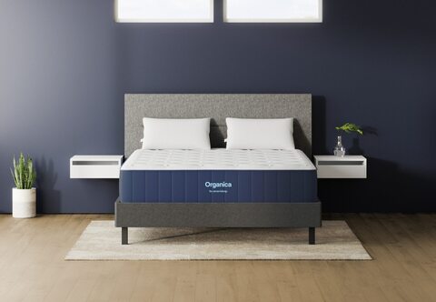 Amerisleep Organic Organica Latex Mattress
