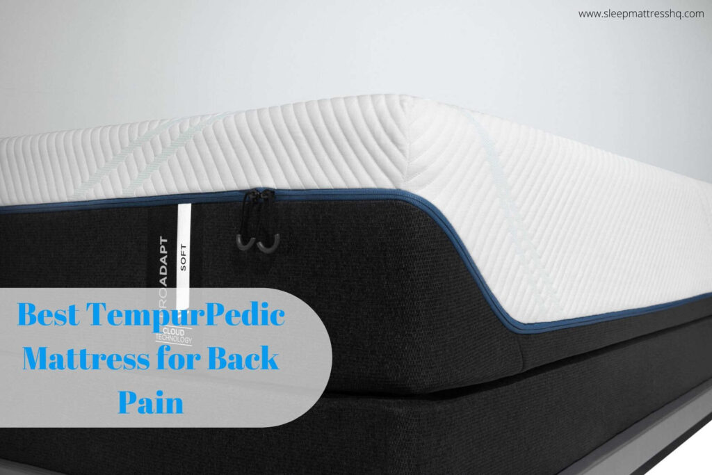 Best Tempurpedic Mattress for Back Pain (January 2024)