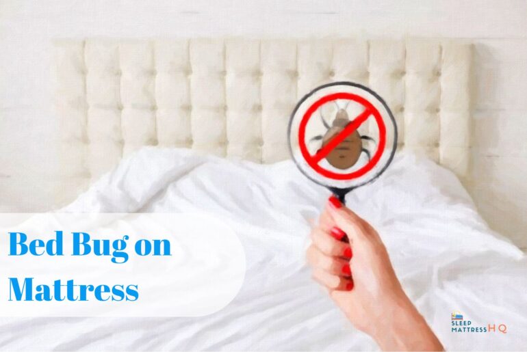 Bed Bug on Mattress