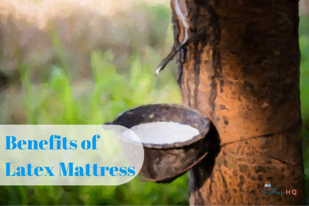 Latex Mattress Benefits (2024 Study)