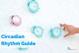 Complete guide and all about Circadian Rhythm
